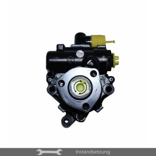 1zu1 Instandsetzung Servopumpe Mercedes-Benz M-Klasse (W163) 400 CDI