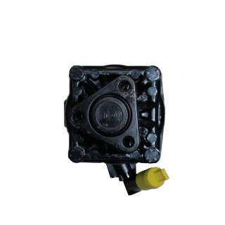 Servopumpe Jaguar XJ (X300, X330) 12 6.0, Daimler XJ 40, 81 Double Six 6.0