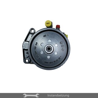 1zu1 Instandsetzung Servopumpe Mercedes-Benz E-Klasse (W211), CLS (C219), SLK (R171)