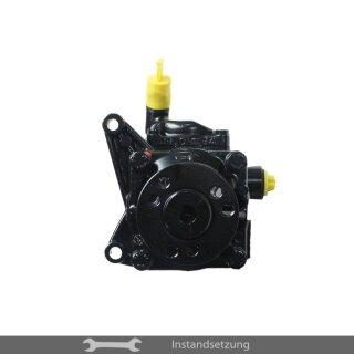 1zu1 Instandsetzung Servopumpe Mercedes-Benz S-Klasse (W140), Coupe (C140)
