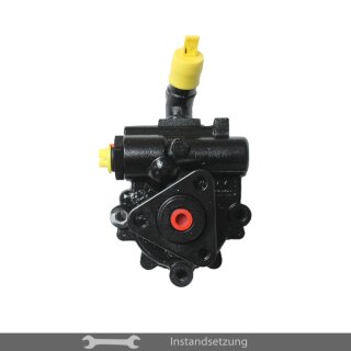 1zu1 Instandsetzung Servopumpe Jeep Wrangler III (JK) 2.8 CRD