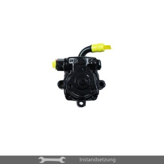 1zu1 Instandsetzung Servopumpe Rover 75 (RJ), MG ZT, ZR