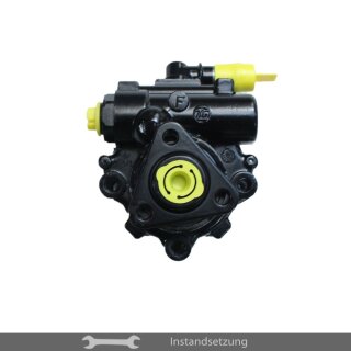 1zu1 Instandsetzung Servopumpe Audi A8 (4E2, 4E8) 3.7, 4.2 quattro