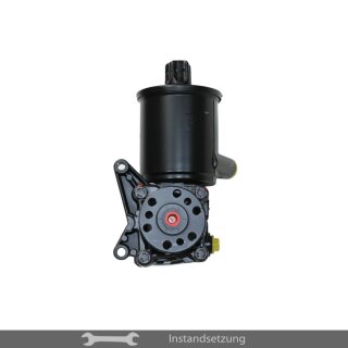 1to1 repair steering pump Mercedes-Benz S-Class (W126), G-Class (W463)