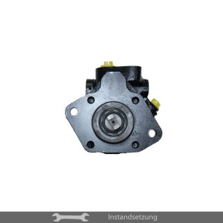 1zu1 Instandsetzung Servopumpe Mercedes-Benz 600 (W100)