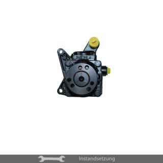 1zu1 Instandsetzung Servopumpe Mercedes-Benz G-Klasse (W463) G 320, G 500, G 55 AMG