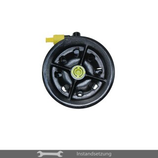 1to1 repair steering pump Maserati 228