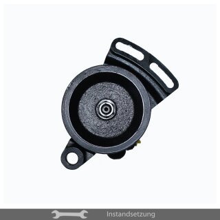 1zu1 Instandsetzung Servopumpe Ferrari 365, 400