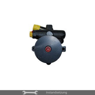 1zu1 Instandsetzung Servopumpe Mercruiser 4,2 Liter 220 TDI