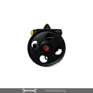 1zu1 Instandsetzung Servopumpe Citroën Berlingo, Peugeot Partner