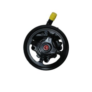 Servopumpe Land Rover Range Rover III (L322)