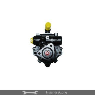 1zu1 Instandsetzung Servopumpe Land Rover Freelander I (L314) 2.5 V6 4x4