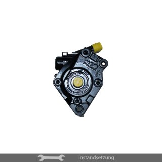 1zu1 Instandsetzung Servopumpe Audi A8 D3 (4E2, 4E8) 4.0 TDI, S8 quattro