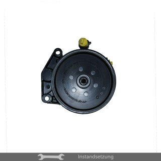 1zu1 Instandsetzung Servopumpe Mercedes-Benz E-Klasse (W211), CLS (C219), SLK (R171)