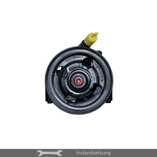 1zu1 Instandsetzung Servopumpe Ford Galaxy II (WA6), Mondeo IV (BA7), S-MAX (WA6) 1.8, 2.0 TDCI