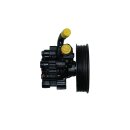 1to1 repair steering pump Opel Antara, Chevrolet Captiva