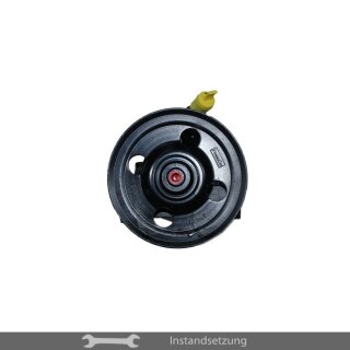 1zu1 Instandsetzung Servopumpe Ford Galaxy II (WA6), Mondeo IV (BA7), S-Max (WA6)
