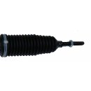 1to1 repair steering gear Jaguar XK II Cabriolet, Coupe (X150)