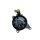 steering pump BMW 5er series (F10, F11) 535i, 6er series (F12) 640i (Active Steering & Adaptive Drive)