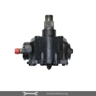 1zu1 Instandsetzung Lenkgetriebe Mercedes-Benz T2 (309,310,313) L3 Z