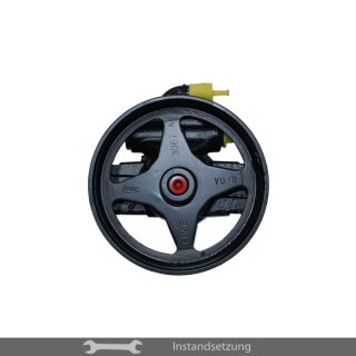 1zu1 Instandsetzung Servopumpe Aston Martin DB7