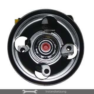 1to1 repair steering pump Renault, Nissan, Opel