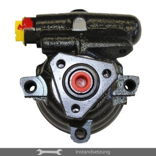 1to1 repair steering pump Renault Clio, Kangoo