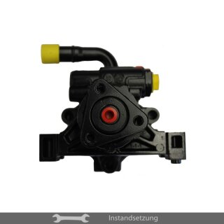 1zu1 Instandsetzung Servopumpe Citroën Jumper, Peugeot Boxer, Fiat Ducato, Ford Transit