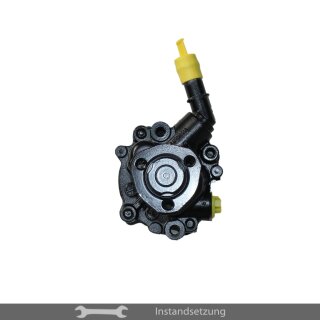 1zu1 Instandsetzung Servopumpe VW Polo (6N2), Seat Arosa (6H)