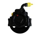 1zu1 Instandsetzung Servopumpe Ford Ka