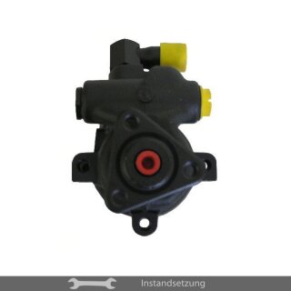 1zu1 Instandsetzung Servopumpe Ford Fiesta III, Fiesta IV, Fiesta Kasten