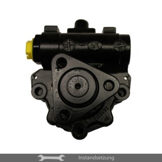 1zu1 Instandsetzung Servopumpe BMW 3er (E46) 320, 323, 328