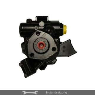 1zu1 Instandsetzung Servopumpe Mercedes-Benz Sprinter (W906), Viano (W639), Vito (W639)