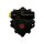 steering pump BMW 5 series (E39) M5