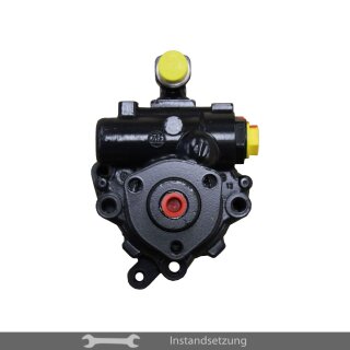 1zu1 Instandsetzung Servopumpe Mercedes-Benz M-Klasse (W163)