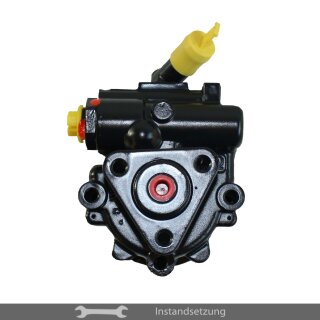 1zu1 Instandsetzung Servopumpe Fiat Doblo (119), Doblo Cargo (223), Strada (178E) 1.3 D
