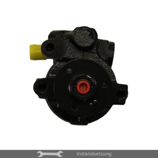 1to1 repair steering pump Renault Megane I, Megane Scenic (1.4, 1.6)