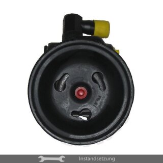 1to1 repair steering pump Ford Fiesta IV, Courier Kasten, Puma