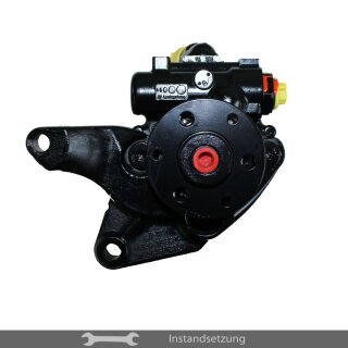 1zu1 Instandsetzung Servopumpe BMW 1er Coupe (E82) M