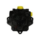 1zu1 Instandsetzung Servopumpe VW Transporter T4